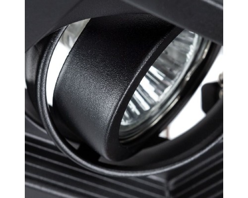 Точечный светильник Canis A6661PL-1BK Arte Lamp