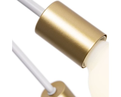 Потолочная люстра Alastor A6702PL-8WH Arte Lamp