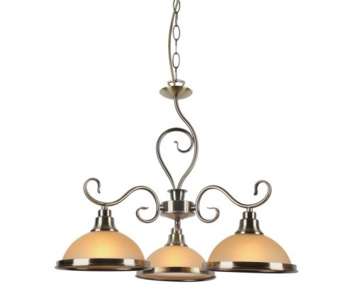Подвесная люстра Safari A6905LM-3AB Arte Lamp