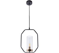 Подвесной светильник Celaeno A7004SP-1BK Arte Lamp