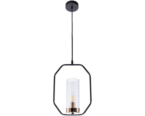 Подвесной светильник Celaeno A7004SP-1BK Arte Lamp