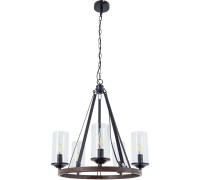 Подвесная люстра Dalim A7014SP-5BK Arte Lamp