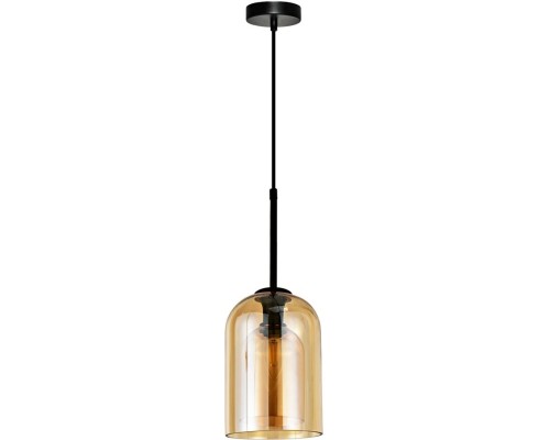 Подвесной светильник Paio A7015SP-1BK Arte Lamp