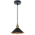 Подвесной светильник Cappello A7037SP-1BK Arte Lamp