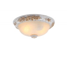 Потолочный светильник Torta A7101PL-2WG Arte Lamp