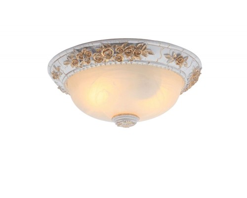 Потолочный светильник Torta A7101PL-2WG Arte Lamp