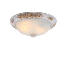 Потолочный светильник Torta A7102PL-2WG Arte Lamp