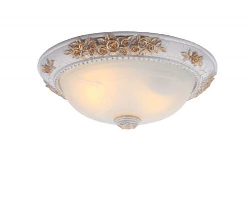 Потолочный светильник Torta A7102PL-2WG Arte Lamp