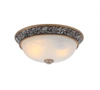 Потолочный светильник Torta A7142PL-2SB Arte Lamp