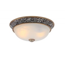 Потолочный светильник Torta A7142PL-2SB Arte Lamp