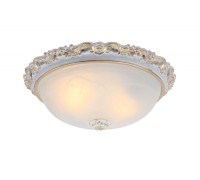 Потолочный светильник Torta A7152PL-2WG Arte Lamp