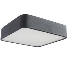 Потолочный светильник Cosmopolitan A7210PL-2BK Arte Lamp