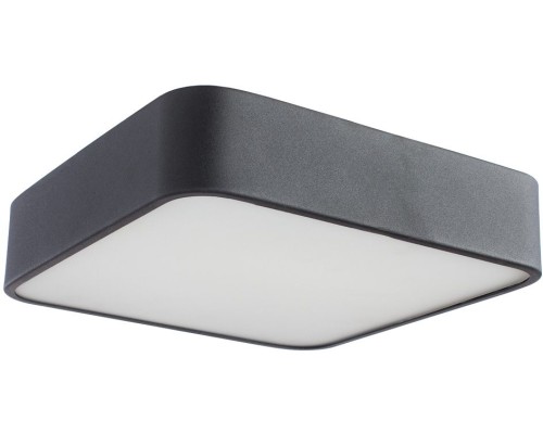 Потолочный светильник Cosmopolitan A7210PL-2BK Arte Lamp