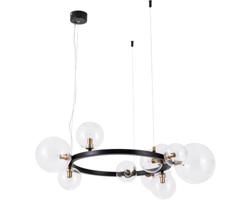 Подвесной светильник Vincent A7790SP-10BK Arte Lamp