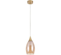 Подвесной светильник Barry A7951SP-1GO Arte Lamp