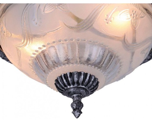 Потолочный светильник Piatti A8001PL-2SB Arte Lamp