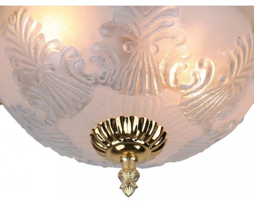 Потолочный светильник Piatti A8002PL-2GO Arte Lamp