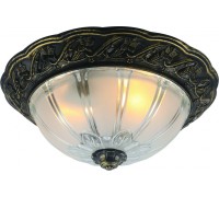 Потолочный светильник Piatti A8003PL-2AB Arte Lamp