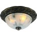 Потолочный светильник Piatti A8003PL-2AB Arte Lamp