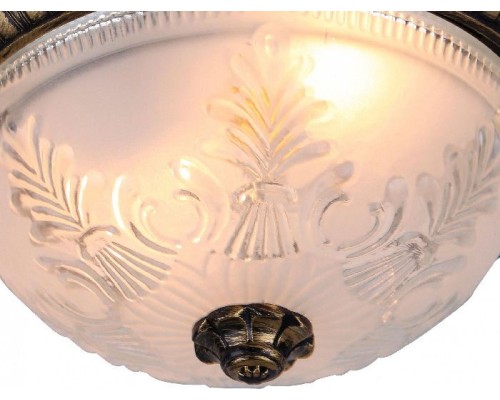 Потолочный светильник Piatti A8005PL-2BN Arte Lamp