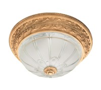 Потолочный светильник Piatti A8014PL-2WA Arte Lamp