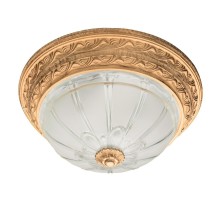 Потолочный светильник Piatti A8014PL-2WA Arte Lamp