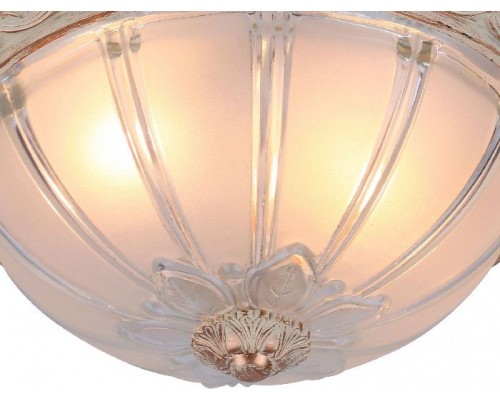 Потолочный светильник Piatti A8014PL-2WA Arte Lamp