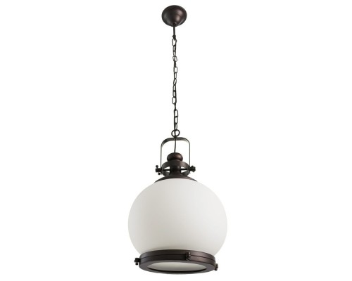 Подвесной светильник Nautilus A8025SP-1CK Arte Lamp