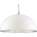 Подвесной светильник Dome A8149SP-1SI Arte Lamp