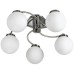 Потолочная люстра Cloud A8170PL-5SS Arte Lamp
