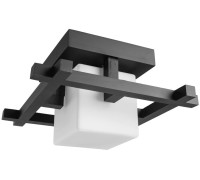Потолочный светильник Woods A8252PL-1CK Arte Lamp