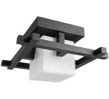 Потолочный светильник Woods A8252PL-1CK Arte Lamp