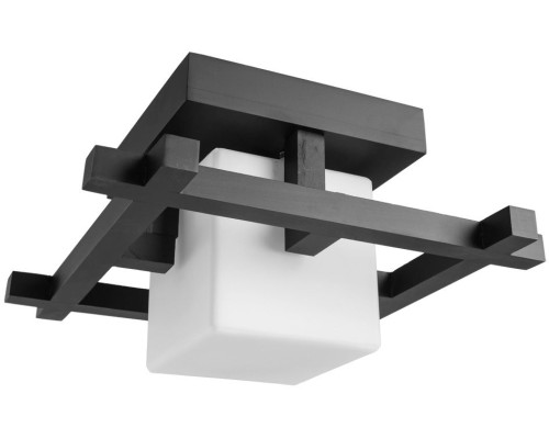 Потолочный светильник Woods A8252PL-1CK Arte Lamp