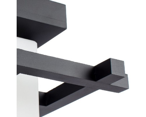 Потолочный светильник Woods A8252PL-1CK Arte Lamp