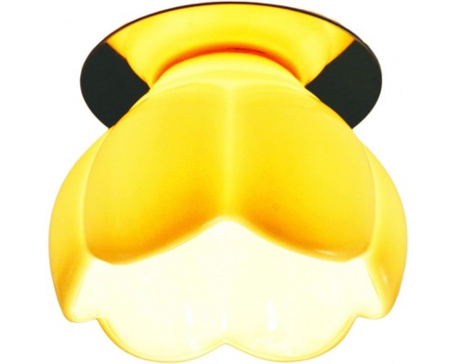 Точечный светильник Occhio A8806PL-1CC Arte Lamp