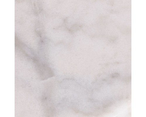 Торшер Arco A8919PN-1SS Arte Lamp