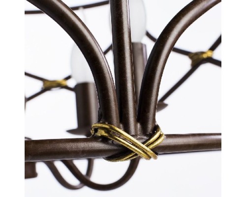 Подвесная люстра Bellator A8959SP-5BR Arte Lamp