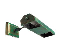 Светильник настенный Picture Lights Vintage A9126AP-2BG Arte Lamp