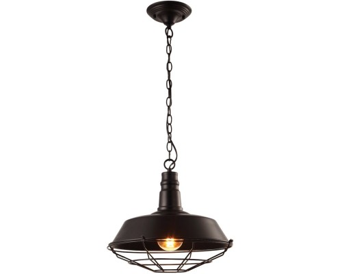 Подвесной светильник Pandora A9183SP-1BK Arte Lamp