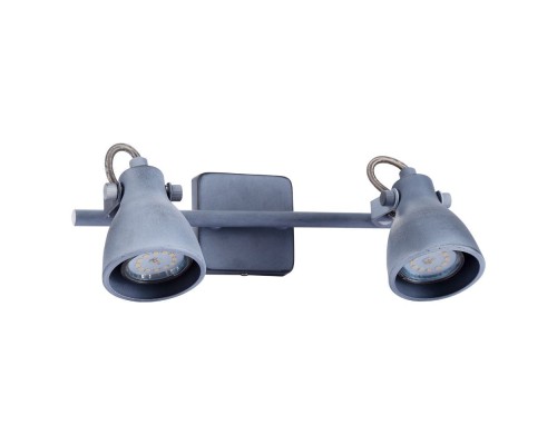 Спот Gotto A9189AP-2GY Arte Lamp