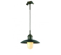 Подвесной светильник Passato A9255SP-1BG Arte Lamp