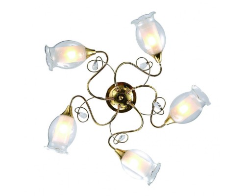 Потолочная люстра Mughetto A9289PL-5GO Arte Lamp