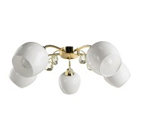 Потолочная люстра Millo A9549PL-5GO Arte Lamp