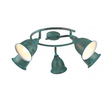 Спот Campana A9557PL-5BG Arte Lamp