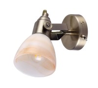 Спот Tulip A9581AP-1AB Arte Lamp