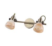 Спот Tulip A9581AP-2AB Arte Lamp