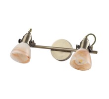 Спот Tulip A9581AP-2AB Arte Lamp