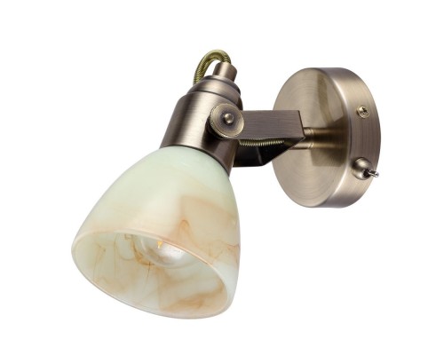 Спот Tulip A9582AP-1AB Arte Lamp