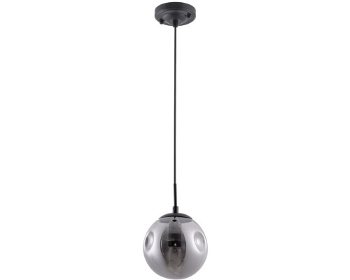 Подвесной светильник Tureis A9915SP-1BK Arte Lamp