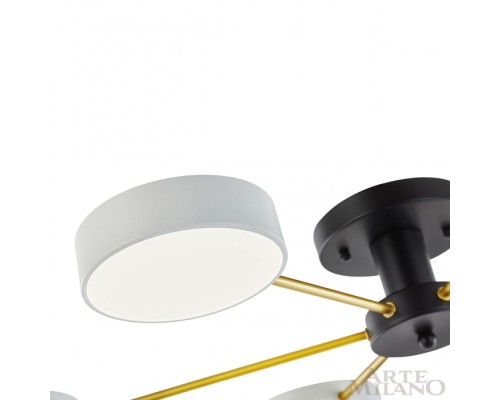 Потолочная люстра Ferrara 252006/6 Bk/Wh Arte Milano